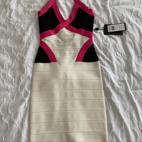 Herve Leger Andie Color Block Pink Bandage Dress, Size: Small - Picture 5 of 9